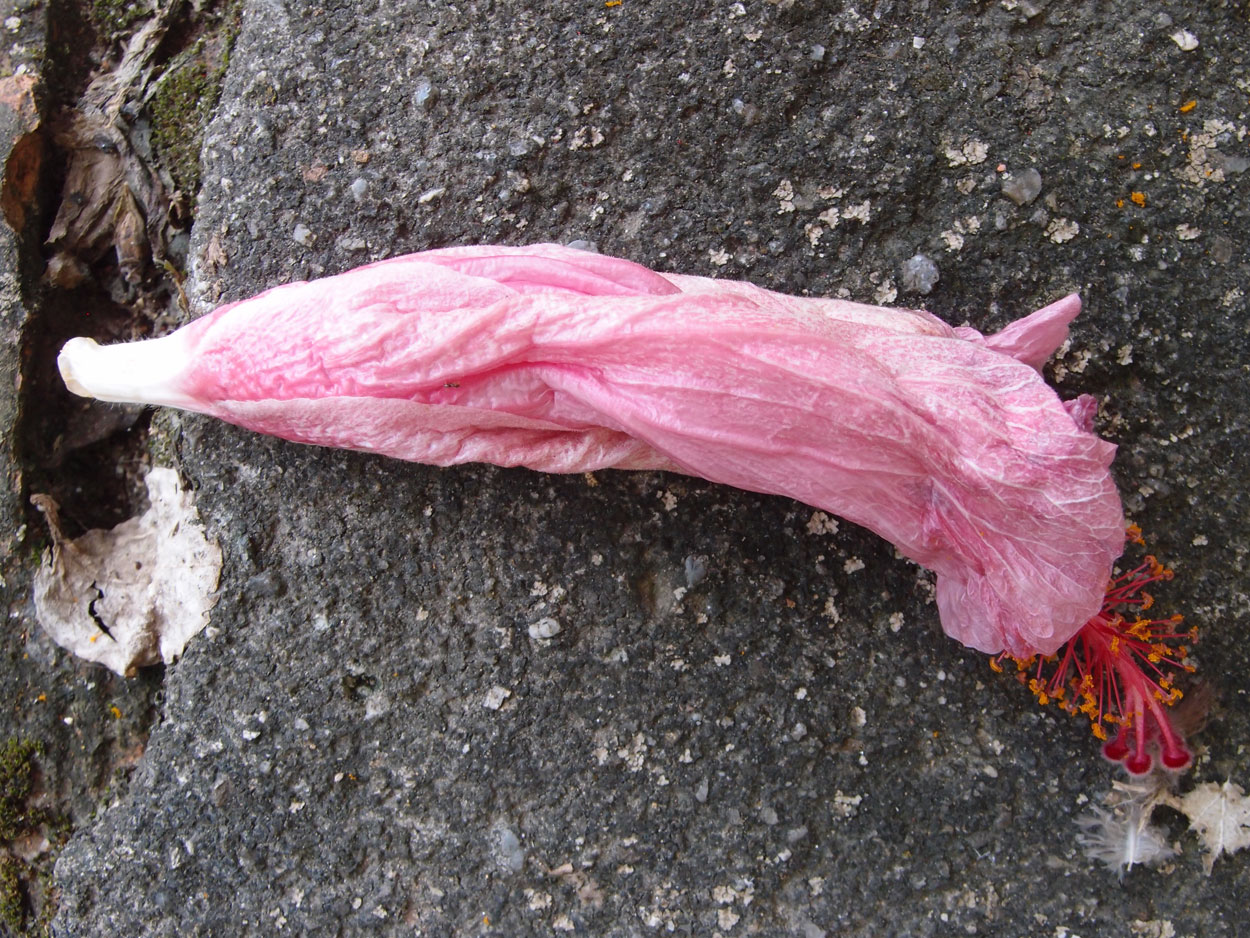 Willkommen Brasilien